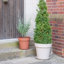 Pot Planter-1330104110-1330104274