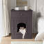 Enceinte en bois pour litière pour chat avec tiroir, table d'appoint, cage intérieure pour animal, table de chevet pour chat-125834541