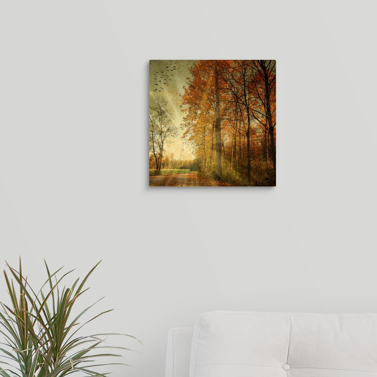 " Ray Fall " by Philippe Sainte-Laudy, 12" H x 12" W x 1.5" D