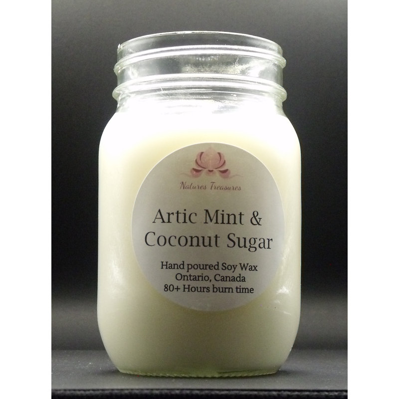 Bougie en cire de soja, Menthe arctique et sucre de noix de coco