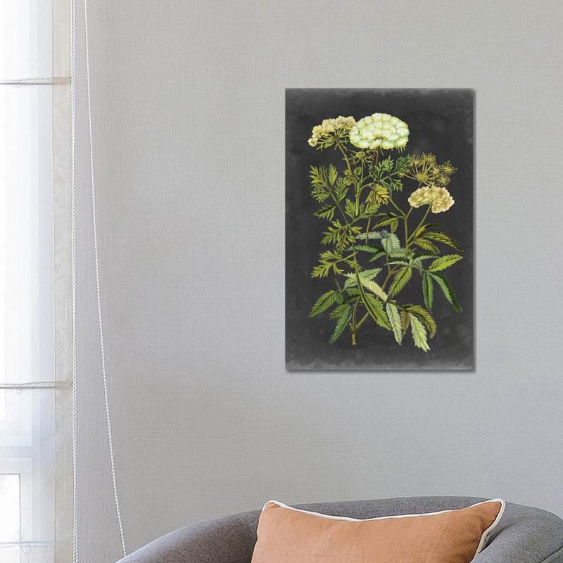 Bookplate Floral I by Naomi McCavitt - Wrapped Canvas Painting, 66.04 cm H x 45.72 cm W x 1.91 cm D