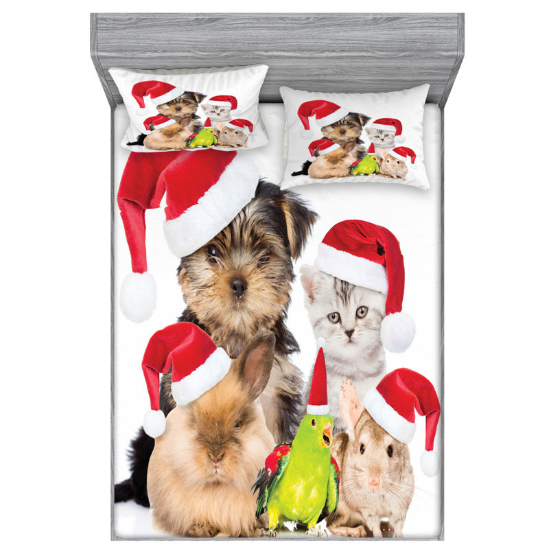 Microfiber Sheet Set, Queen Sheet Set + Fitted Sheet + 2 Pillowcases