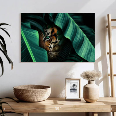 Brampt Hiding Tiger
