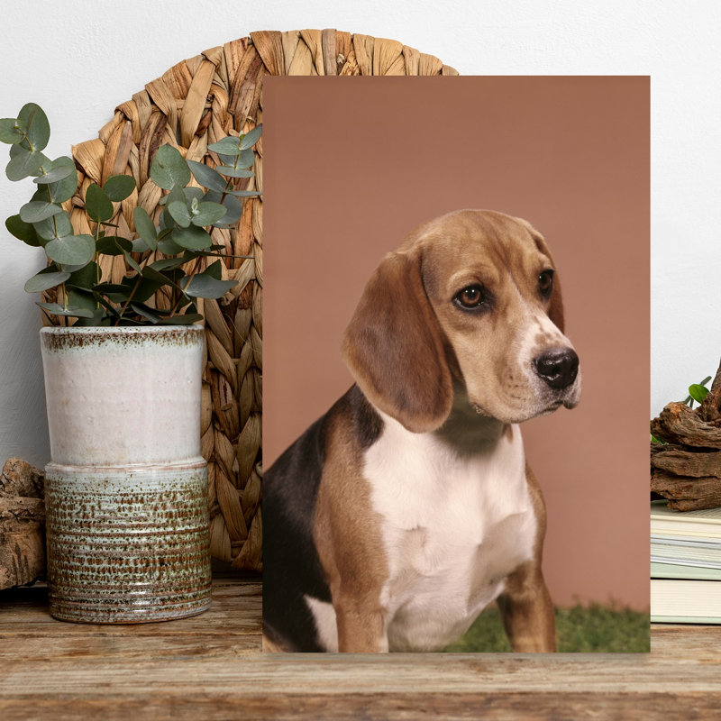 1960S Portrait Of Beagle Dog Classic Retro Vintage Dog Wall Art, H 18 po x l 12 po