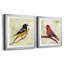 «Backyard Birds I», ensemble de 2 cadres photo-863639449-863639450