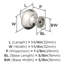 Extensity  (29mm) Length  Cabinet Knob - 25 Pack-111778095
