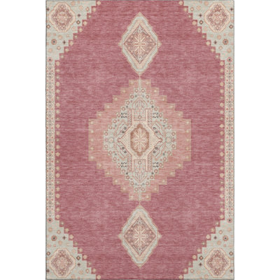Premium Machine Washable Colmenero AMF1014 Oriental Rug