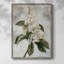Reproduction encadrée FLORAL Series CCLXI - bois massif-1713769454
