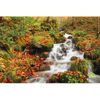 Autumn Colors Of Oirase River by Yankane - Wrapped Canvas Print