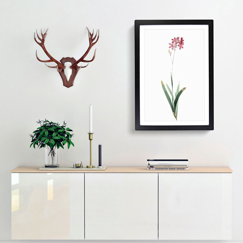Corn Lily in Pink by Pierre-Joseph Redoute - Picture Frame Painting Print, 65cm H x 48cm W x 2cm D, Black Framed