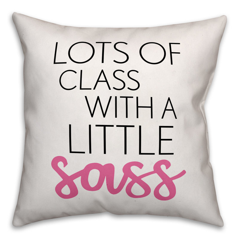  Coussin décoratif Lots of Class with a Little Sass