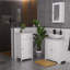 Aadhith Wall Mounted Required Bathroom Cabinet-1134843660