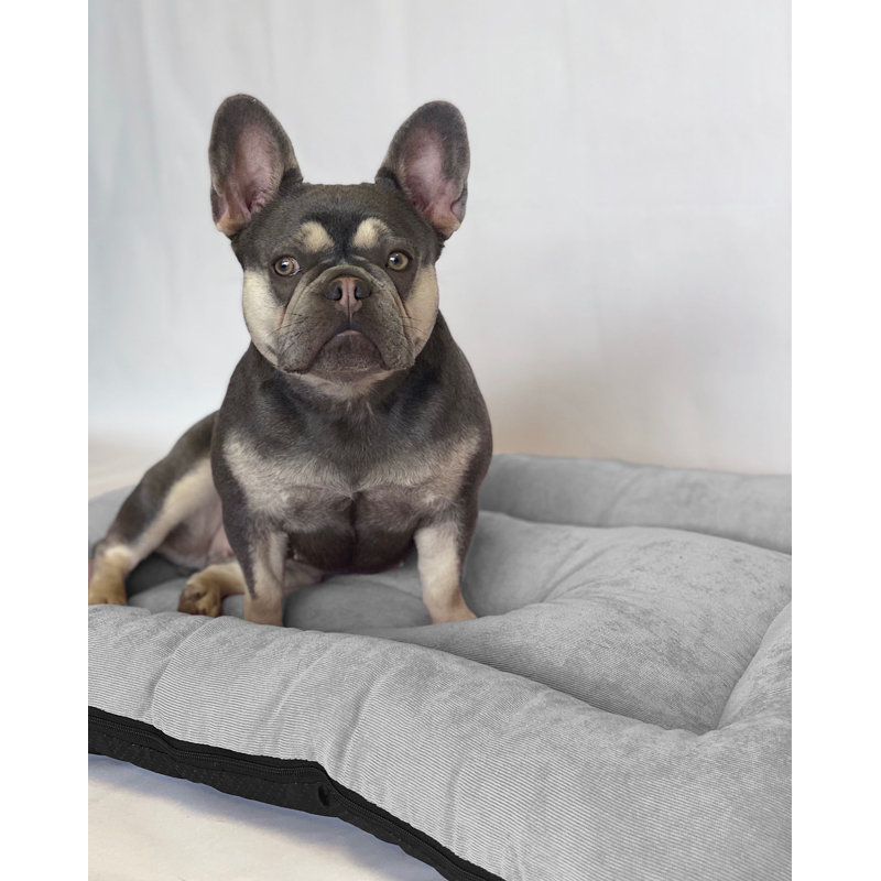 Vera Polyester Pet Bed, 50cm H x 35cm W x 8cm D, Light Grey