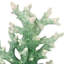Décor de corail en résine Callidora 9,25 - vert
