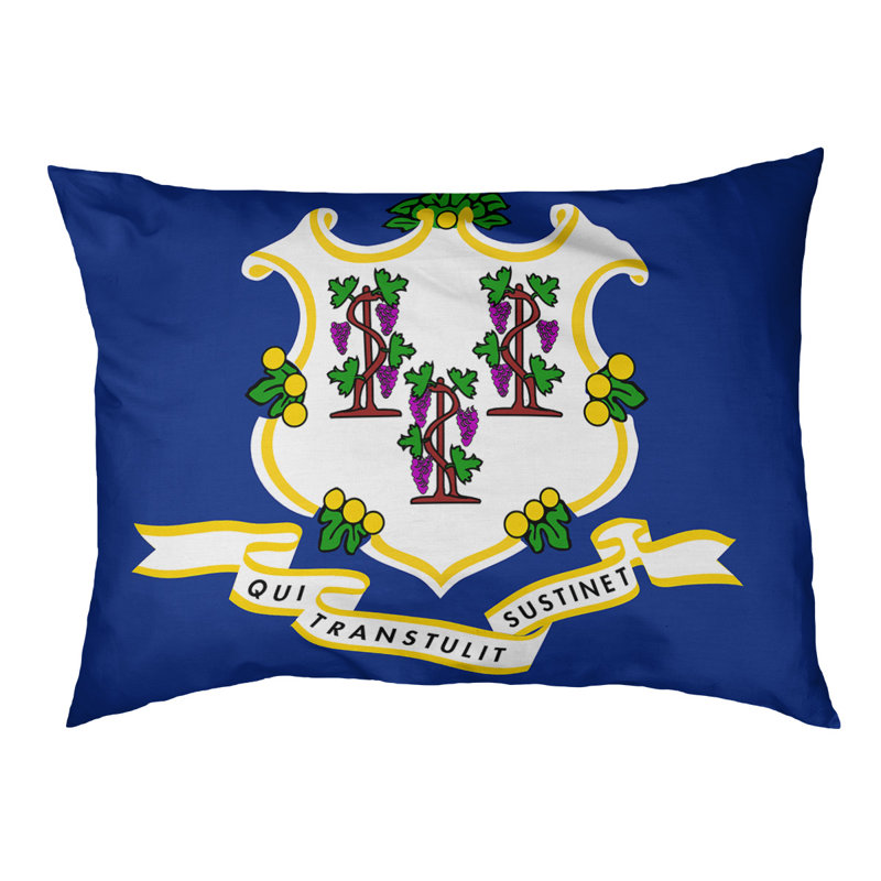 Coussin stylisé connecticut flag Burien, L 32,5 po x l 42,5 po, Noir