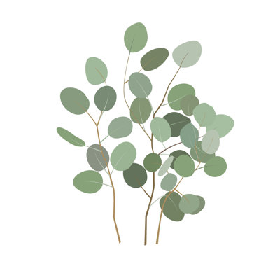 " Silver Dollar Plant Branches " by Toltemara