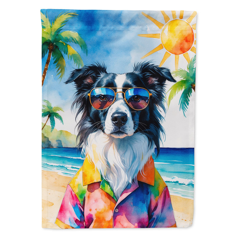 Drapeau de la maison esquimau américain, Border Collie