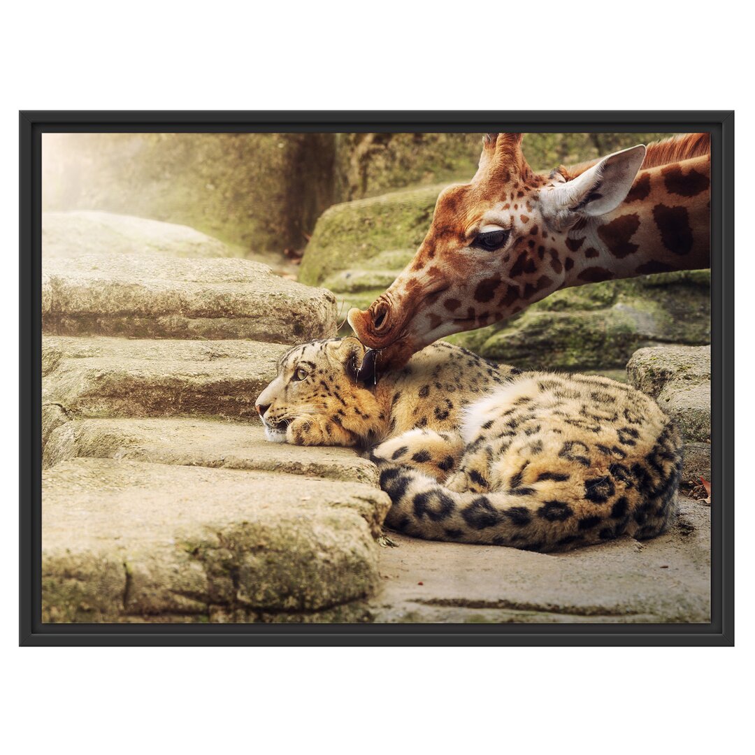 Gerahmtes Wandbild Leopard und Giraffe