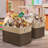 Sorbus Box-1566033025