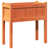 Natural Orange selected