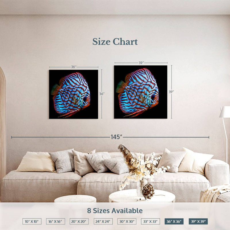 Brampt Aquatic Turquoise Discus Fish, 39'' H x 39'' W