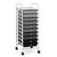 Daveney 10 Drawer Storage Drawer-2020606076
