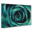 A Teal Rose in Abstract - Wrapped Canvas-55368242