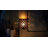 Iron Flush Mounted Sconce