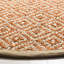 Desai Geometric Handwoven Jute/Sisal Orange/Natural Area Rug-24290821