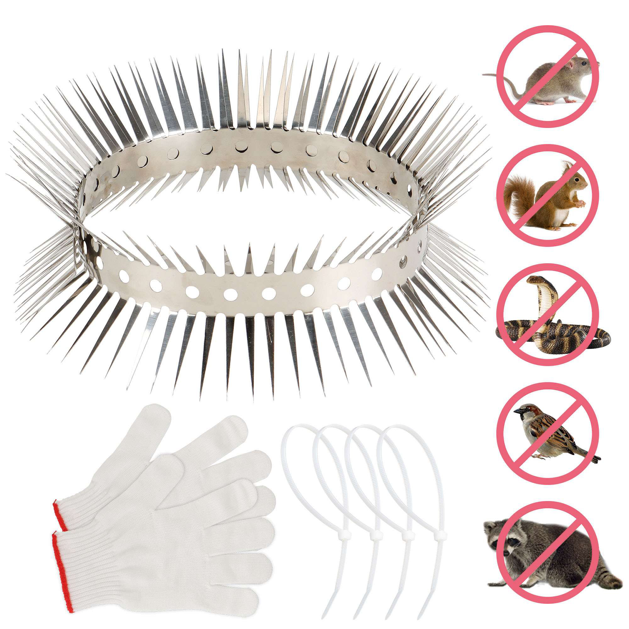 Razor Fence For Raccoons