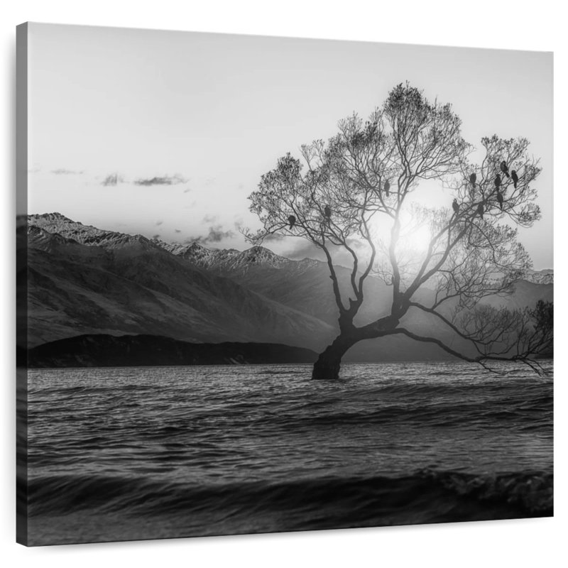 Nicci Lake Wanaka BW, 16" H x 16" W