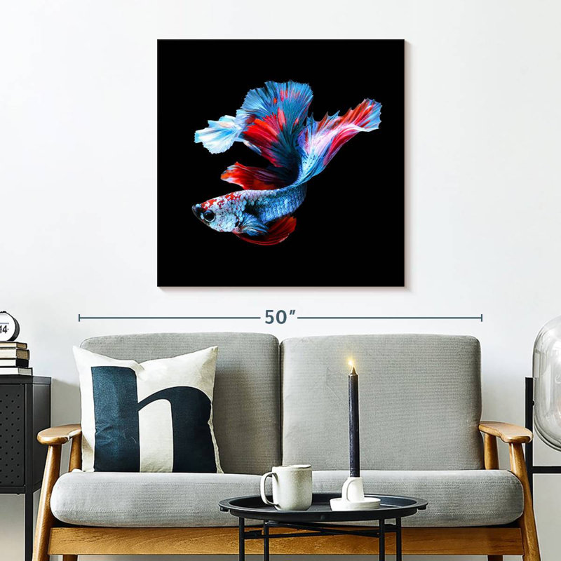 Brampt Elegant Betta Fish, 30" H x 30" W