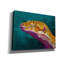«Bruce The Leopard Gecko» par Dawg Painter-615634126