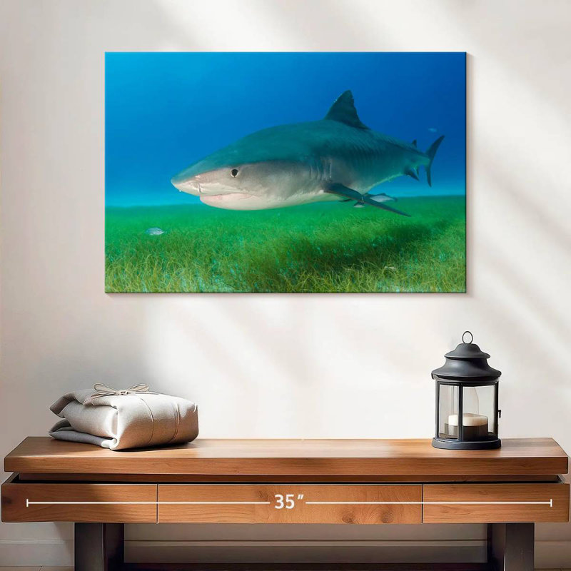 Brampt Tiger Shark On Sea Grass, 16" H x 24" W