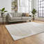 Apollo area rug Machine Woven Rectangle Grey-93557177