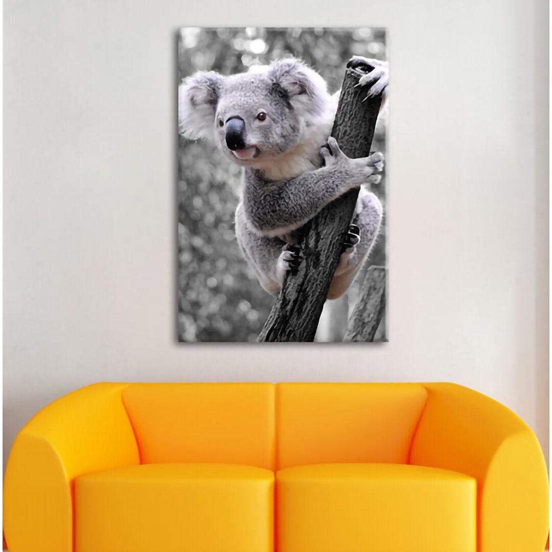 Leinwandbild Neugieriger Koala am Baumstamm