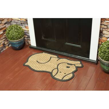 Here to Pet the Dog Sassafras Mat - 10 x 22 Insert Doormat