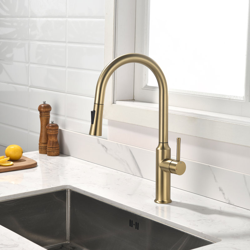 Robinet de cuisine rétractable Rainlex