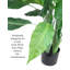 Plante artificielle en pot
