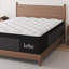 Matelas hybride mi-ferme 14 po avec mousse à mémoire de forme et ressorts ensachés, matelas dans une boîte-431244429-431244418