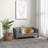 Pet sofa with armrests and button tufted back