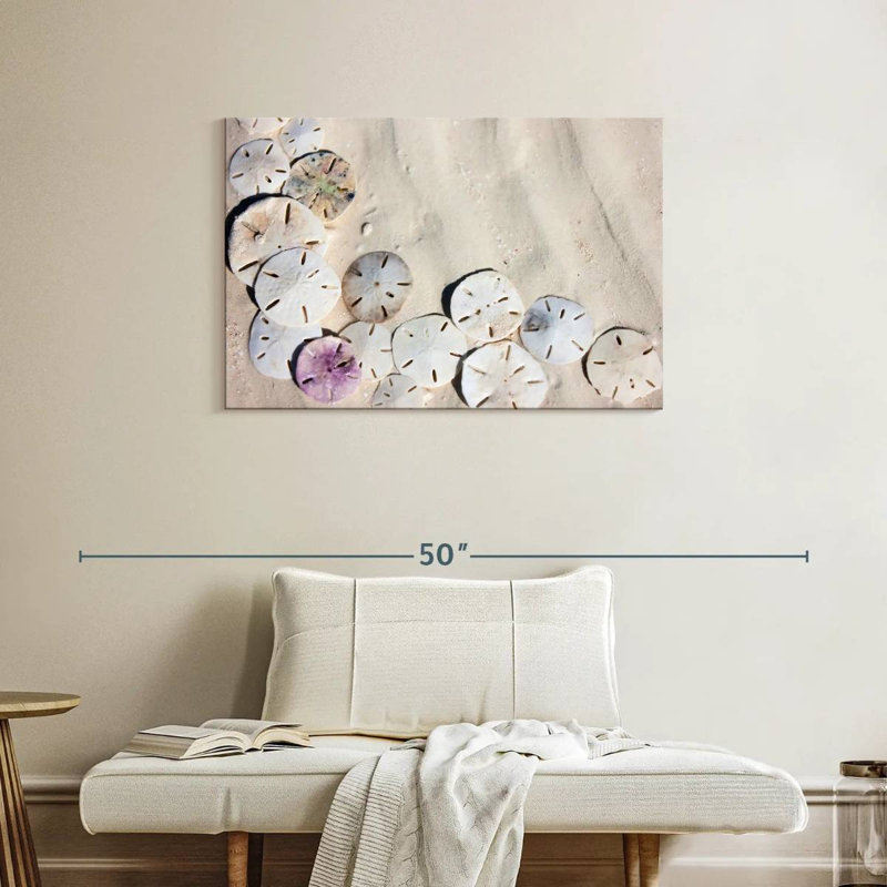 Beach Sand Dollars, 24" H x 36" W