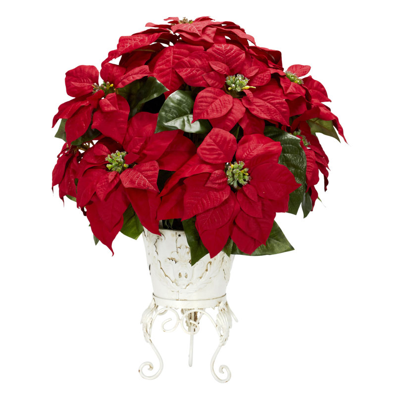 Centre de table poinsettias dans un pot à fleurs