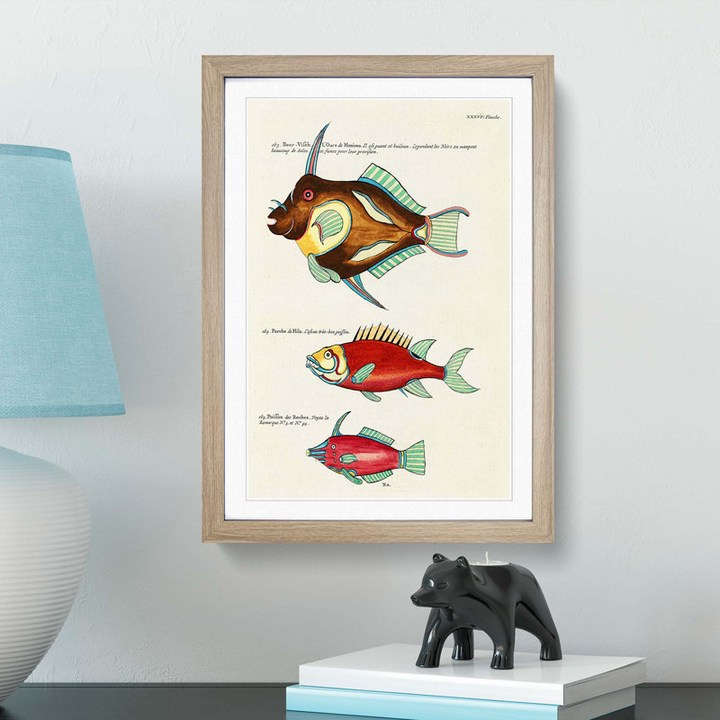 East Indies Fish Illustrations XXXVI by Louis Renard - Picture Frame Graphic Art Print, 36cm H x 27cm W x 2cm D, Oak Framed
