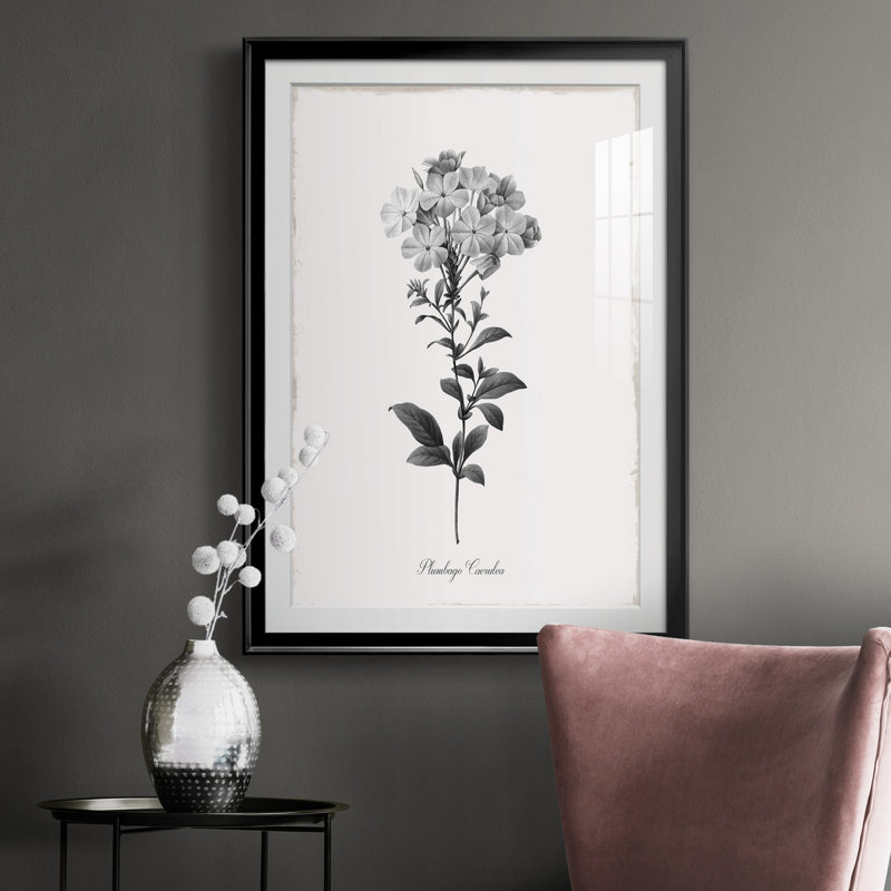 Simplement Cape Plomb - Reproduction d'art sur papier encadrée, Papier encadré noir, H 30,5 po x l 42,5 po x P 1,5 po