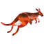 Abc Kangaroo - Painting on Canvas-1318182268