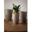 Plante artificielle en pot 6 "Sansevieria