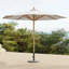 Umbrella with Patio Umbrella