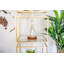 Horloge de table analogique en bois massif-995893189-1013122511
