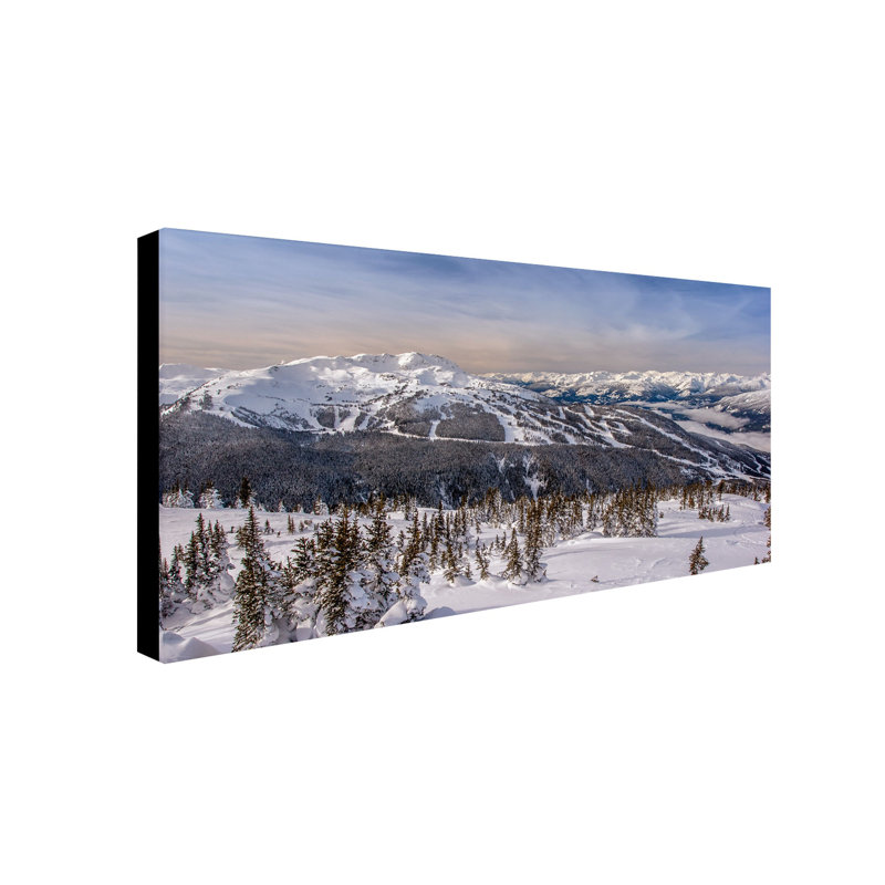 Winter Landscape Canvas Art in White and Blue